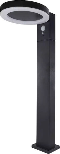 REV Solar Light