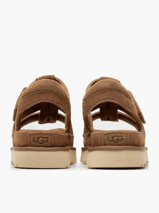 Goldenstar Women's Flat Sandals with Strap in Brown Color