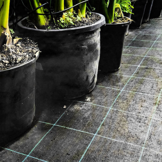 Sidirela E-4621 Ground Cover Fabric 100gr/m² 1x10m Black