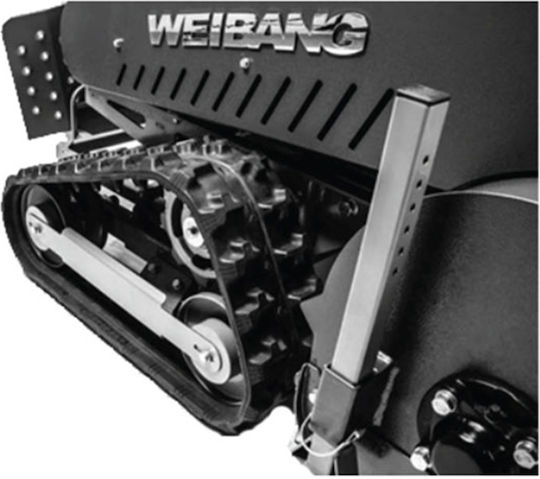 Weibang Motordriving Zerstörer Benzin 8.8hp