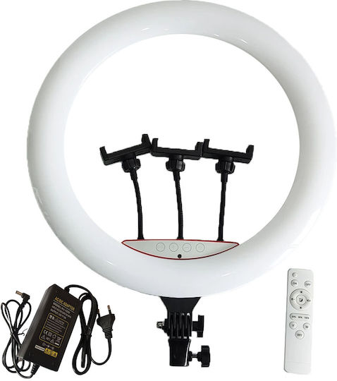 Professional Ring Light Led Circular Lamp Nextly Touch Control 56cm Diameter 22 Inch Warm Cool Neutral Light 10 Light Levels 3 Phone Holders Remote Control
