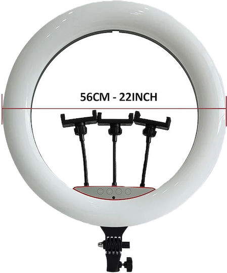 Professional Ring Light Led Circular Lamp Nextly Touch Control 56cm Diameter 22 Inch Warm Cool Neutral Light 10 Light Levels 3 Phone Holders Remote Control