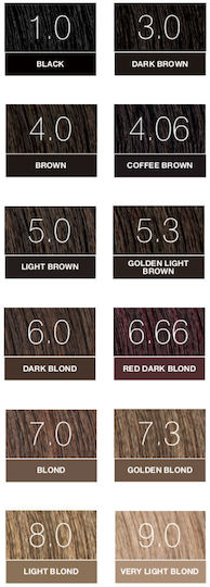 Noah for Beauty Permanent Hair Colour Vopsea de Păr fără amoniac 7.0 Blondă 140ml