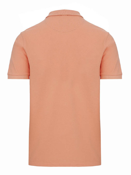 Polo T-shirt Σωμόν