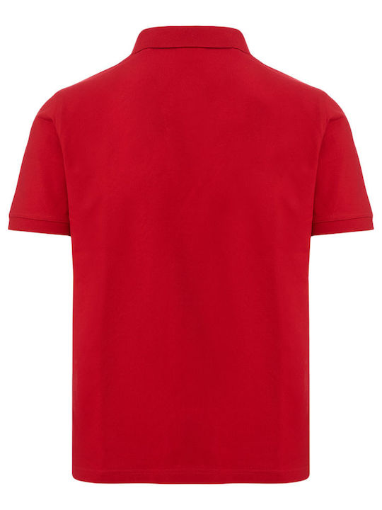 Polo Μπλούζα Κοντομάνικη Ruby Red