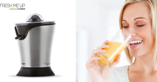 Gruppe Fresh Me Up Electric Juicer 100W Inox Gray