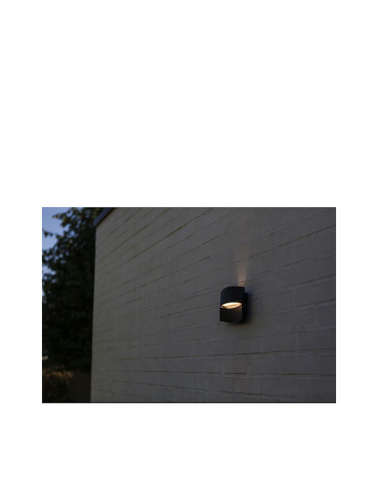 Lutec Lotus Wall-Mounted Outdoor Light
