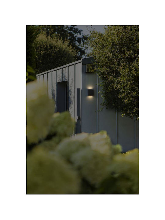 Lutec Wall-Mounted Outdoor Light