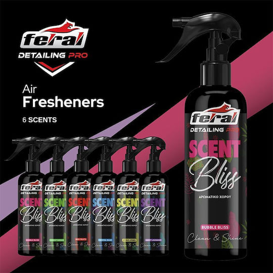 Auto Gs Αρωματικό Σπρέι Αυτοκινήτου Detailing Pro Red Fruits 500ml