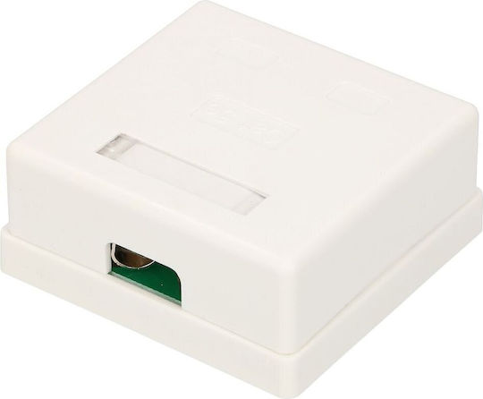 Extralink Dublu Prize de rețea exterioare RJ45 De tip Cat5 în culoarea Alb EX.9649