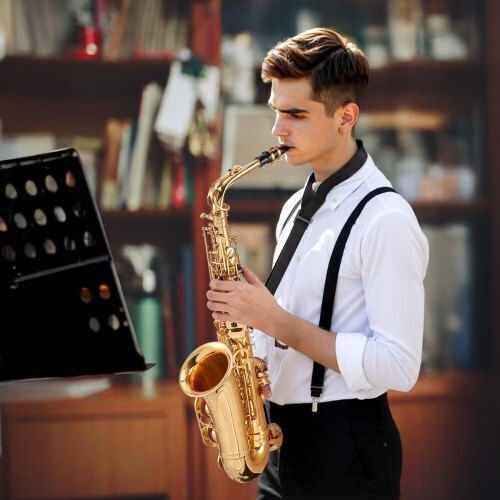Vevor Alto Saxophone Eb Beginners Case Mouthpiece Wgskszyjedjsfjgju001v0