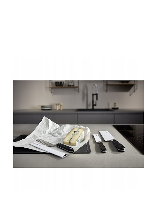 Knife Cheese from Stainless Steel