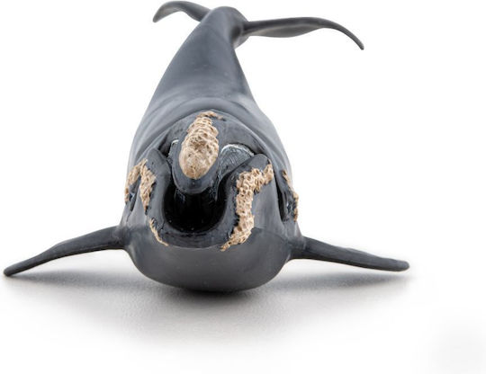 Papo Balena Dreaptă Pentru 3+ Ani 3.3 Cm
