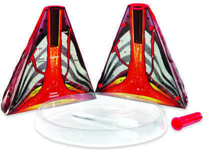 Learning Resources Model Of Volcanic Eruption Lernspiel Experimente für 6+ Jahre Jahre