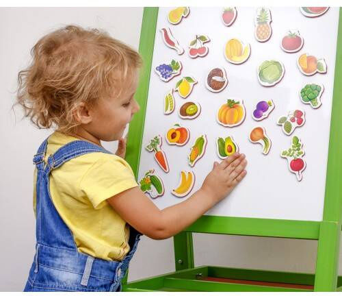 Roter Kafer Educational Game Knowledge