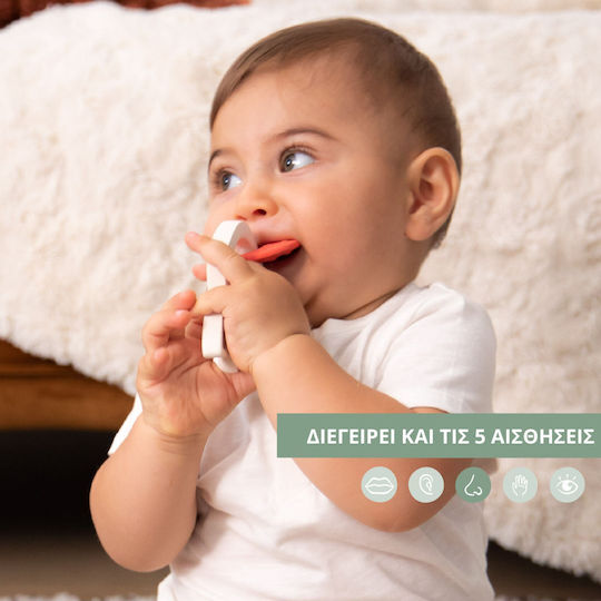 Sophie La Girafe Teething Ring Teething Relief Made of Rubber for 0 m+