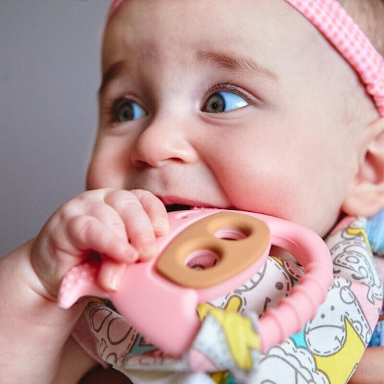 Marcus & Marcus Educational Silicone Teether Bear Pokey