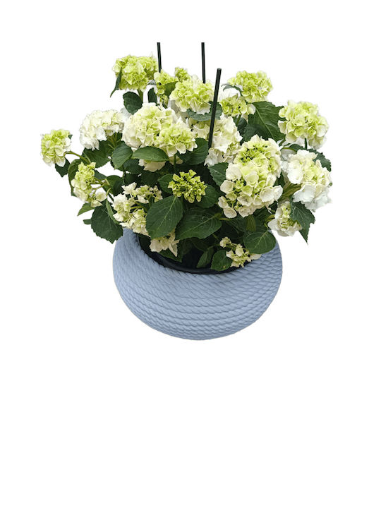 Telcom Topf Kunststoff Polvere 40x40cm.