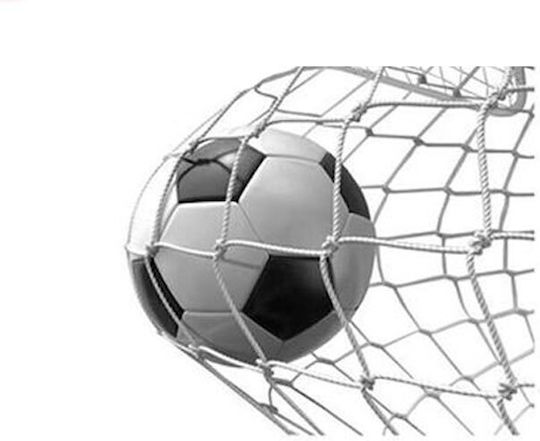Soccer Net 213x90x150cm