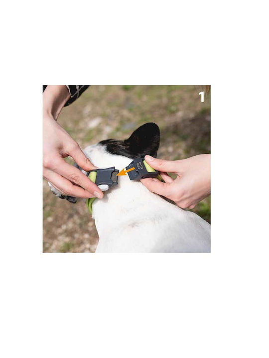 Hundehalsbänder Hundehalsband Magnetisches Verschluss Einfach Zu Verwenden Maximale Sicherheit L Hundehalsbänder Hundehalsband Magnetisches Verschluss Einfach Zu Verwenden Maximale Sicherheit L