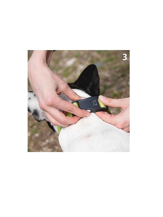 Dog Collar Magnetic Buckle Easy To Use Maximum Safety S