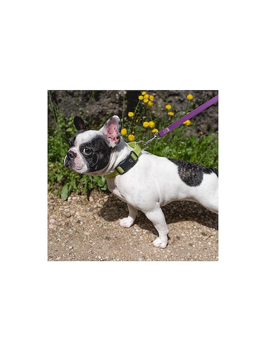 Dog Collar Magnetic Buckle Easy To Use Maximum Safety S
