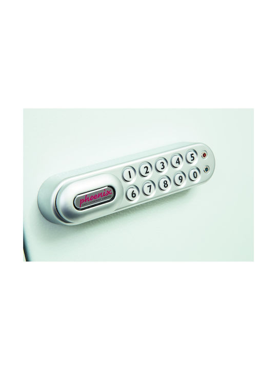 Phoenix Safe Company Wall Key Hook Metallic with Lock 55x38x15cm