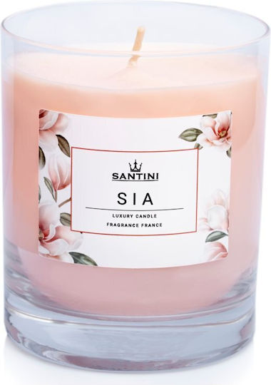 Santini Cosmetic Lumânare Aromatică în Borcan Magnolia