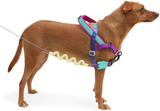 Zee-Dog Dog Leash/Lead Strap Ruff Leash