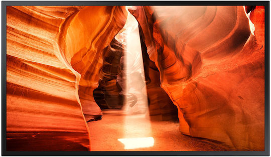 Samsung Signage Public Display LED VA Full HD 55"