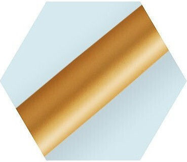 Waterman Expert Metallic Gold Lacquer Fountain Pen Special Edition 3026981192586 Fine Nib
