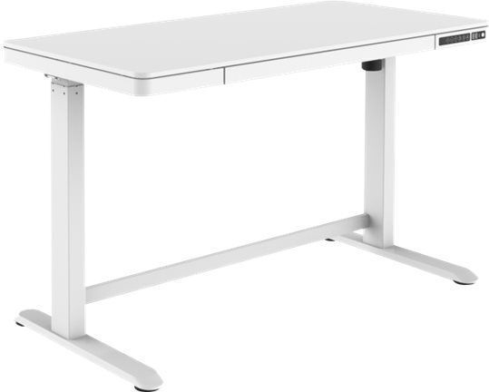 Elektrisch Schreibtisch Holz Weiß mit Metallbeinen, verstellbarer Höhe, LED & USB-Anschlüssen 120x60x72cm