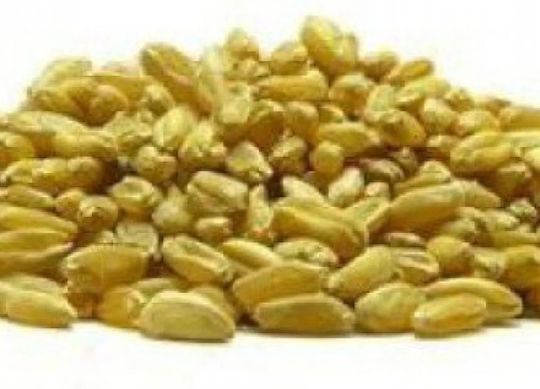 Βιο Αγρός Bio Ποπ Σίτου Spelt Μέλι 100gr