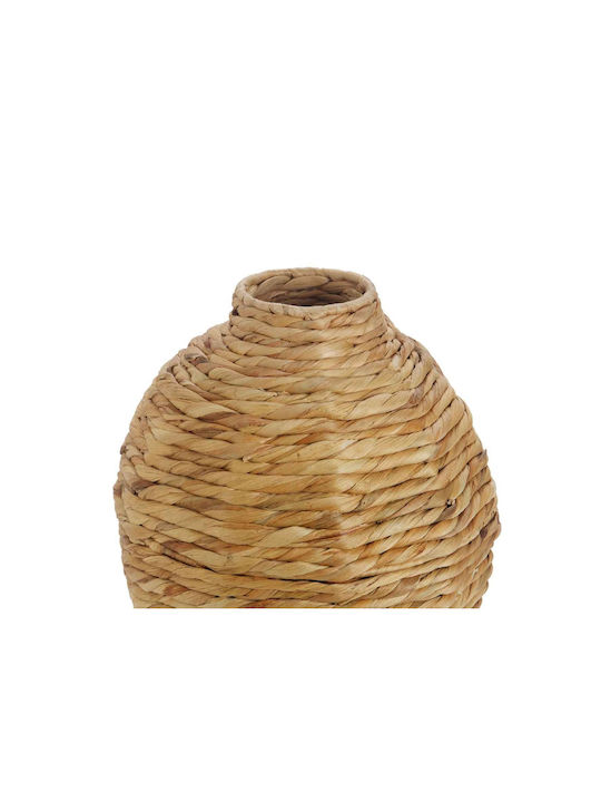 Βάζο Alexandra House Living Καφέ Eichhornia Crassipes 26 X 41 X 26 Cm