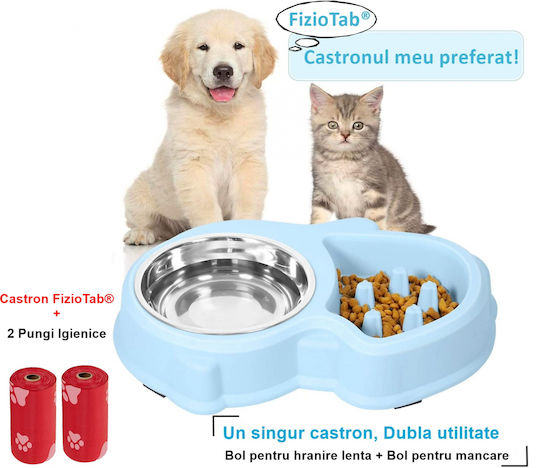 Bol De Mâncare Pentru Câine & Pisică Din Propilenă