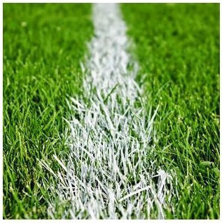 Σπόρος Γκαζόν Wembley Agrogen 1kg 470-334
