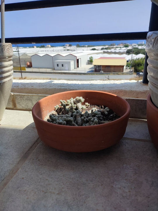 Small Handmade Ceramic Plant Pot 26cm