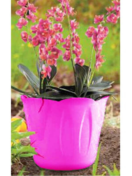 Bama Vaze Pentru Plante Din Plastic Ø15x12cm 1lt Model 3 Mărimi Fuchsia Mimosa Pot Italia Bama Vaze Pentru Plante Din Plastic Ø15x12cm 1lt Model 3 Mărimi Fuchsia Mimosa Pot Italia