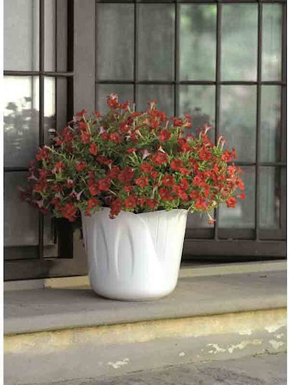 Bama Plant Pots Plastic Ø15x12cm 1lt Design 3 Sizes Brown Mimosa Pot Italy