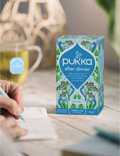 Pukka Tee Bio-Produkt 20 Beutel 1Stück