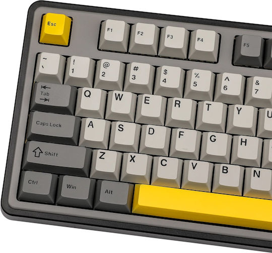 Ajazz AK980 Gaming Mechanical Keyboard with Gift Switch V2 switches and RGB lighting (English US) Gray