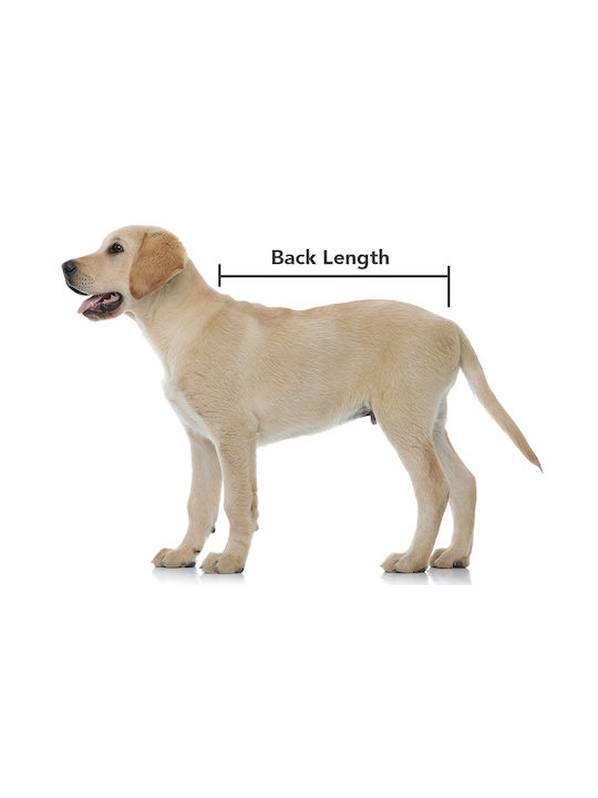 Suitical Recovery Double Sleeves 3xs Hundeshirts