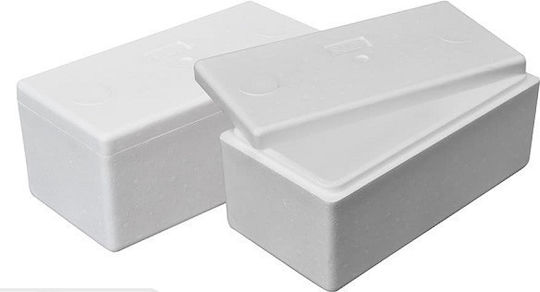 Large Styrofoam Cooler Box for Cake 28x28x10