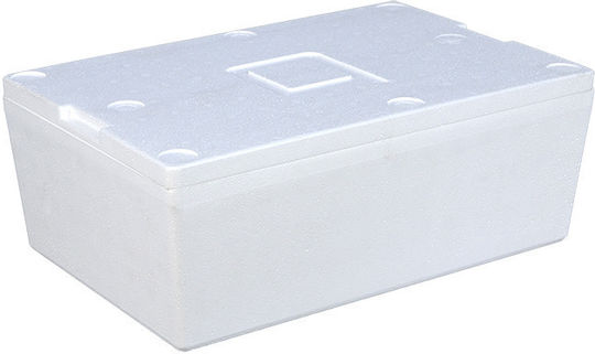 Polystyrene Cooler Box Trunk Case 29.7x14.5x10.5