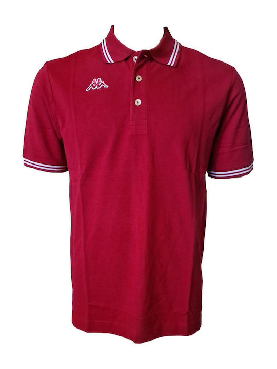 Polo T-shirt Μπορντό