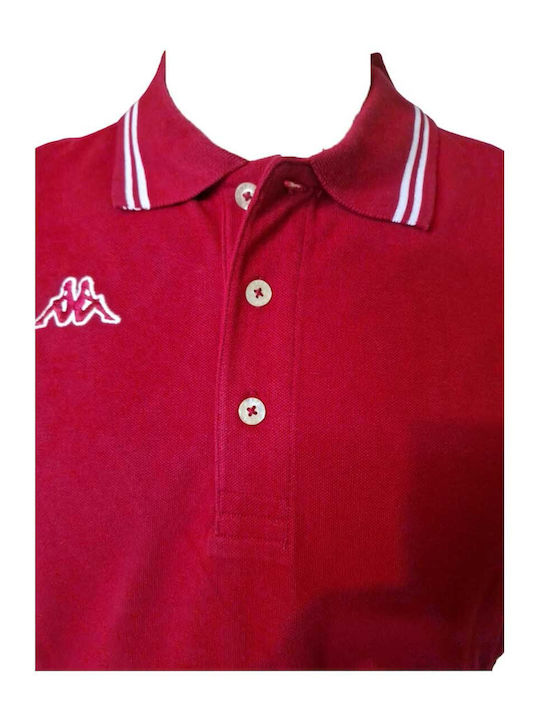Polo T-shirt Μπορντό