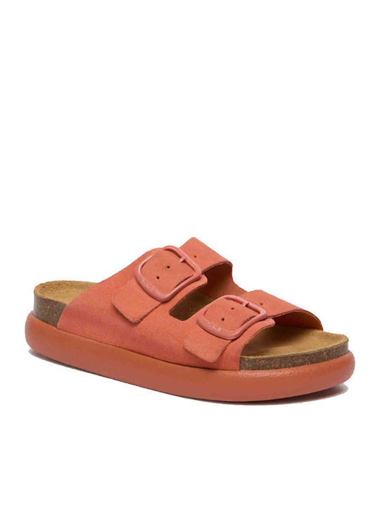 Scholl