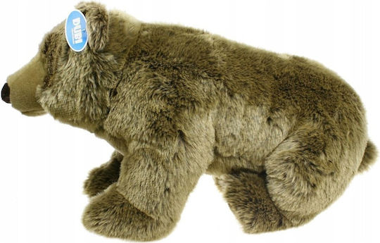 Dubi Plüschbär 38 cm