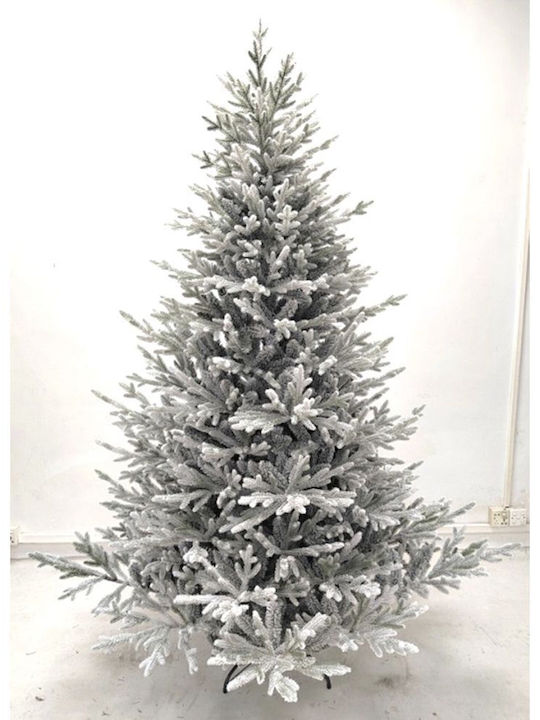 Χιονισμένο Δέντρο Norway Spruce