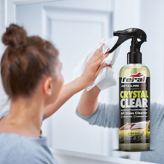 Feral Detailing Pro Cleaner Spray Car Windows 750ml